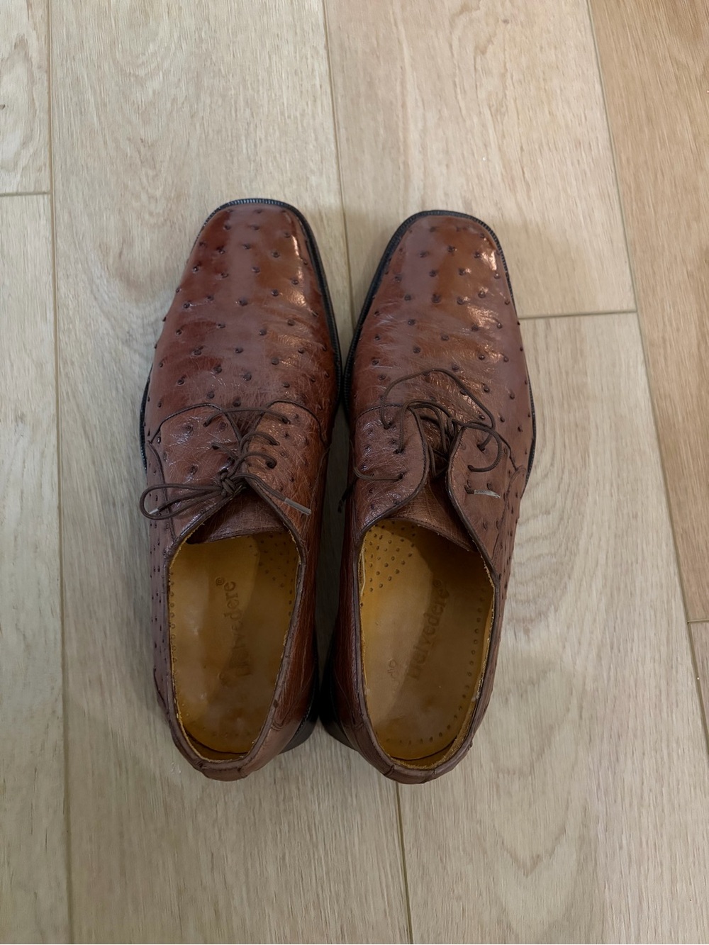 Men's genuine ostrich dress shoes